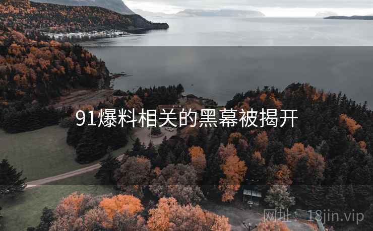 91爆料相关的黑幕被揭开