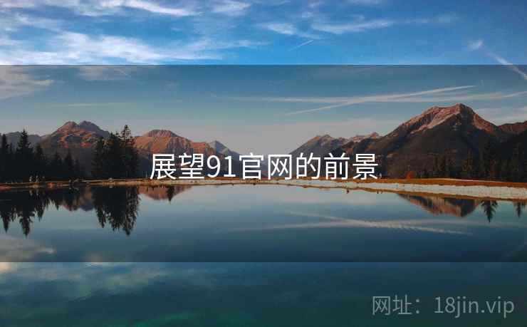 展望91官网的前景