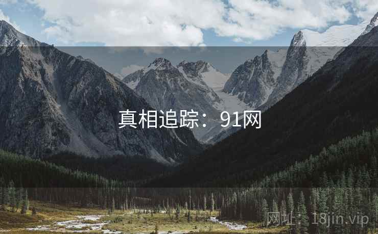真相追踪：91网