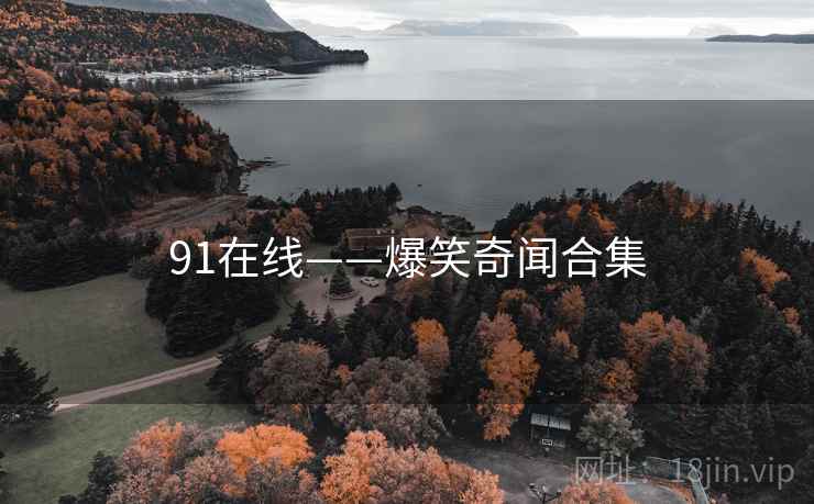 91在线——爆笑奇闻合集