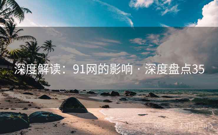 深度解读：91网的影响 · 深度盘点35